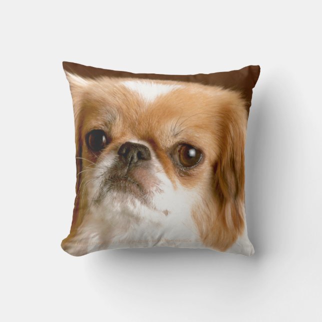 "Pekingese" Kudde (Framsida)