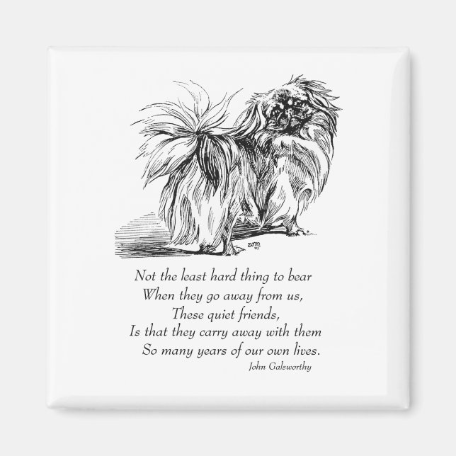 Pekingese Magnet (Framsidan)