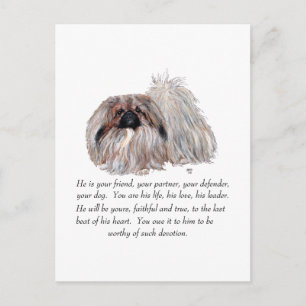 Pekingese Minnessak - HANE Vykort