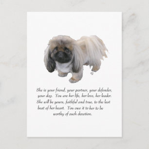 Pekingese Minnessak - HONOR Vykort