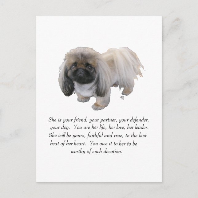 Pekingese Minnessak - HONOR Vykort (Framsida)