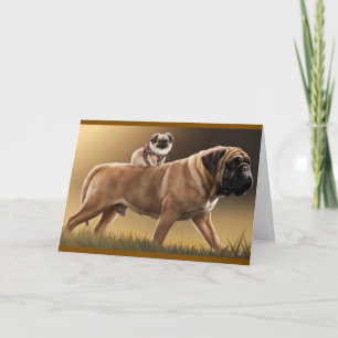 Pekingese- och Bullmastiff-kort Kort