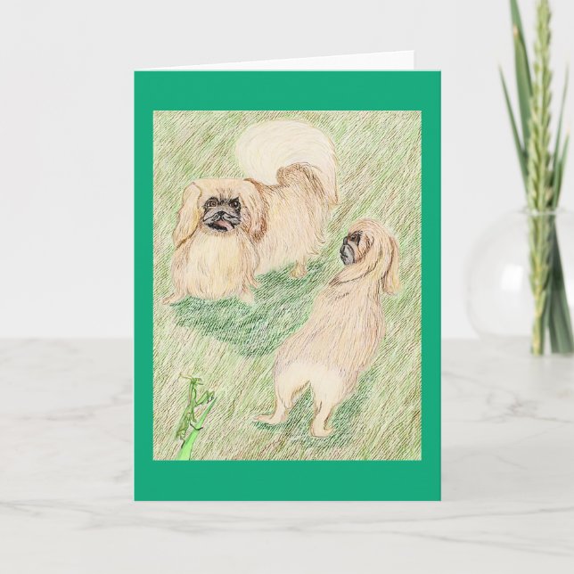 Pekingese och de bönande mynten kort (Framsida)