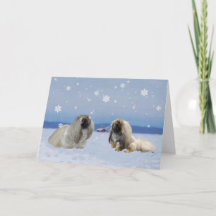 Pekingese på Winter Helgkort