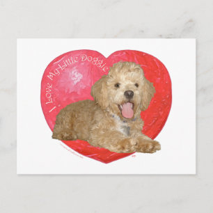 Pekingese / Poodle Mix Alla hjärtans dag Helg Vykort