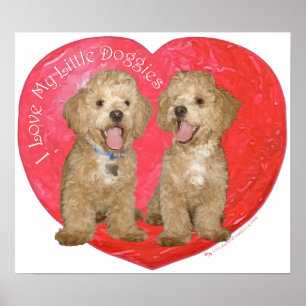 Pekingese / Poodle Mix Alla hjärtans dag Poster