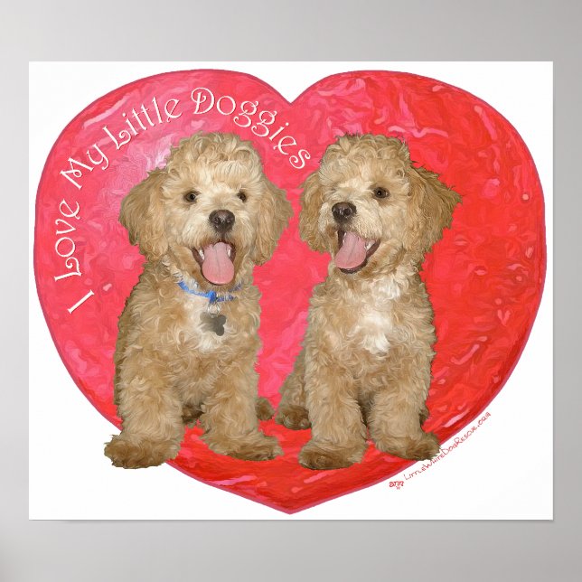 Pekingese / Poodle Mix Alla hjärtans dag Poster (Framsidan)