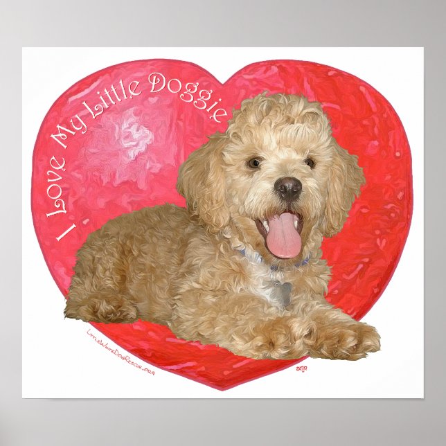 Pekingese / Poodle Mix Alla hjärtans dag Poster (Framsidan)