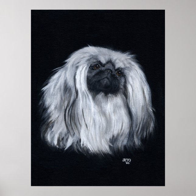 Pekingese Porträtt i Black & White Poster (Framsidan)