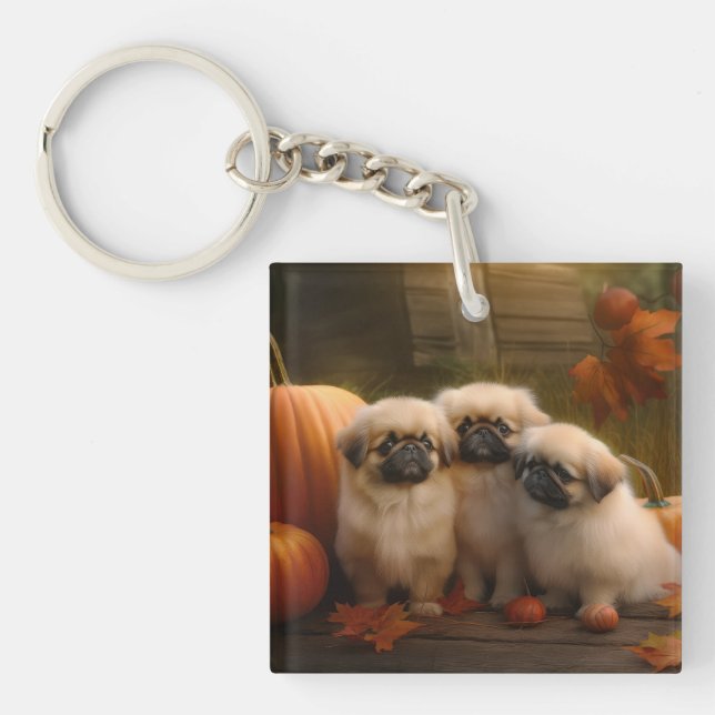 Pekingese Puppy Autumn Delight Pumpkin (Framsidan)