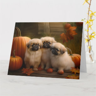 Pekingese Puppy Autumn Delight Pumpkin Kort