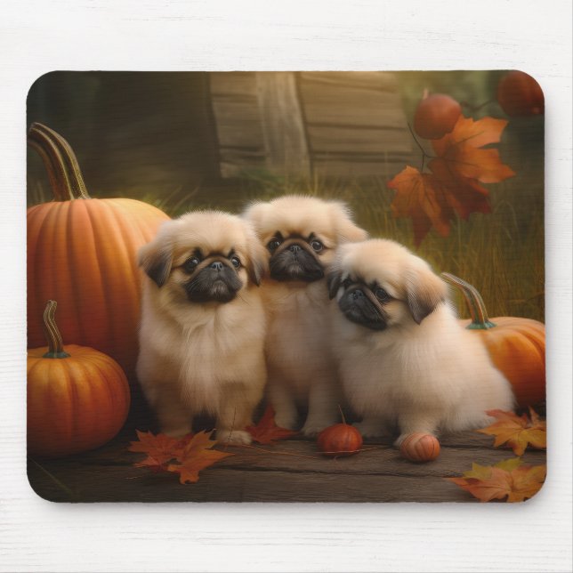 Pekingese Puppy Autumn Delight Pumpkin Musmatta (Framsidan)