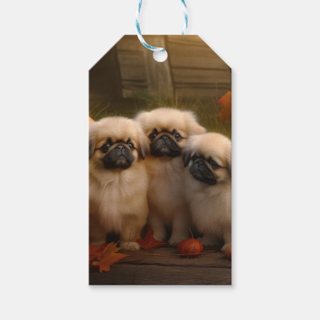 Pekingese Puppy Autumn Delight Pumpkin Presentetikett (Framsidan)
