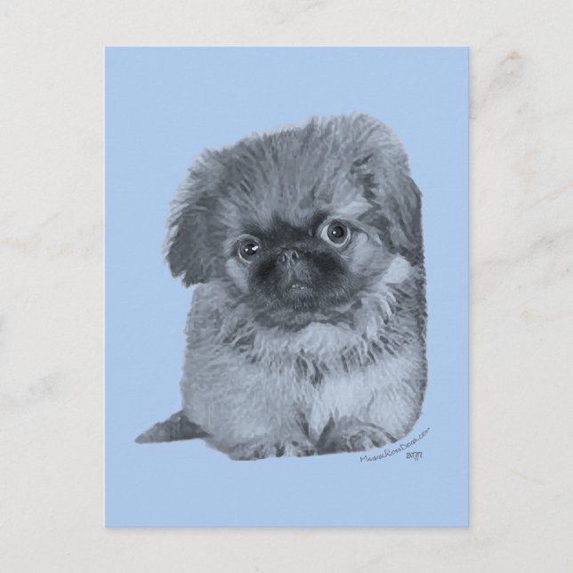 Pekingese Puppy Blue Vykort (Framsida)