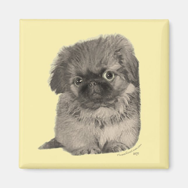 Pekingese Puppy Gult Magnet (Framsidan)