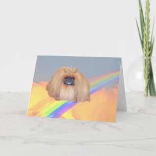 Pekingese Rainbow Kort