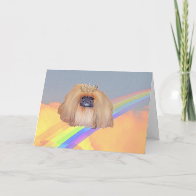 Pekingese Rainbow Kort (Framsida)