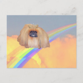 Pekingese Rainbow Vykort