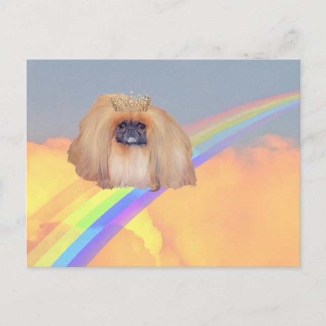 Pekingese Rainbow Vykort (Framsida)