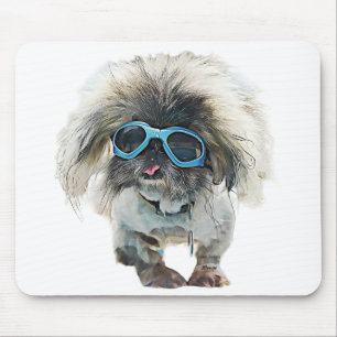 Pekingese Rockstar Mongo Musmatta