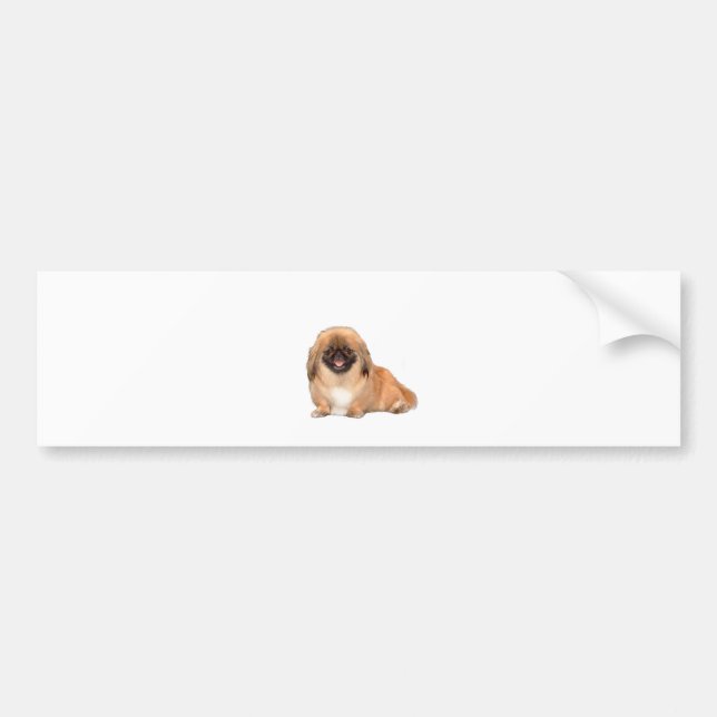Pekingese (röd, svart mask nr 1) bildekal (Framsidan)