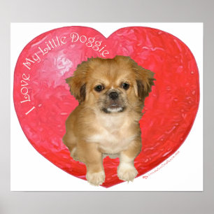 Pekingese / Shih Tzu Alla hjärtans dag Poster