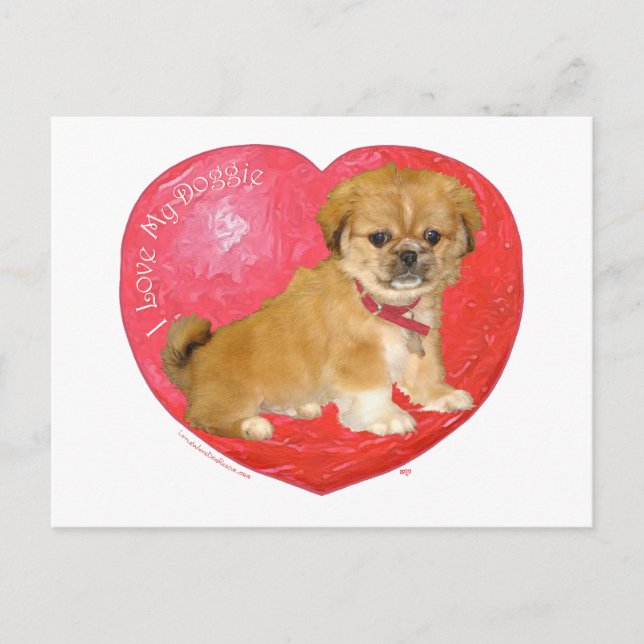 Pekingese / Shih Tzu Mix Alla hjärtans dag Helg Vykort (Framsida)