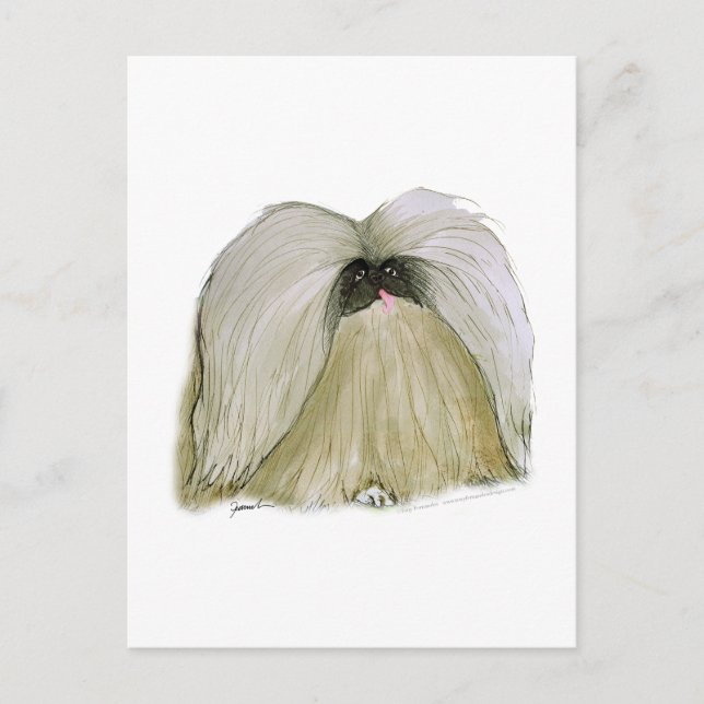 Pekingese, tony fernandes vykort (Framsida)