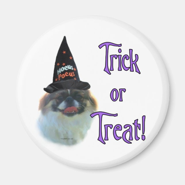 Pekingese Trick Magnet (Framsidan)