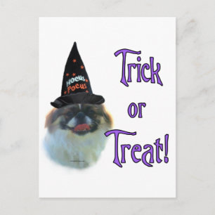 Pekingese Trick Vykort