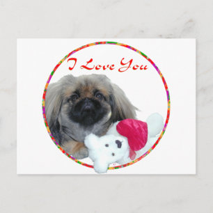Pekingese Valentine Helg Vykort