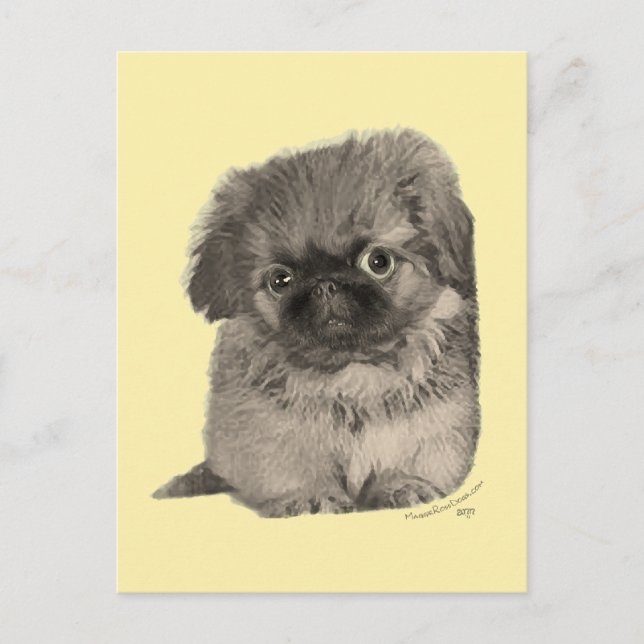 Pekingese Valp Gul Vykort (Framsida)