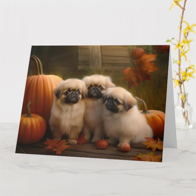 Pekingese Valp Höstglädje Pumpa  Kort (Gul blomma)