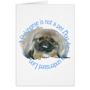 Pekingese Wisdom - undermålig Lejon! Hälsningskort