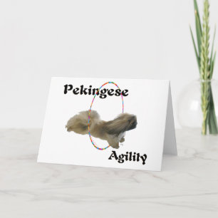 Pekingeser agility gratulationskort kort