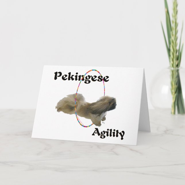 Pekingeser agility gratulationskort kort (Framsida)