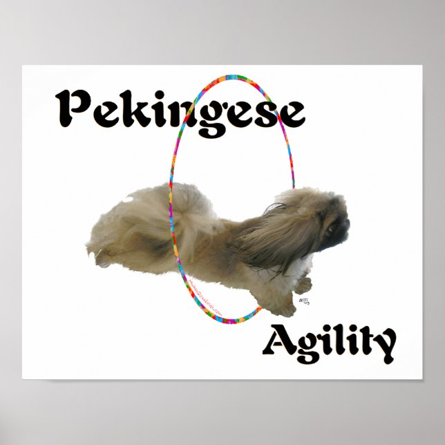 Pekingeser agility poster (Framsidan)