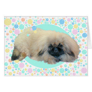 Pekingeser Bubbel Glädje Hälsningskort