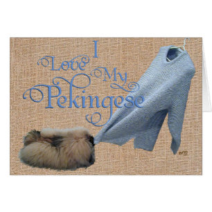 Pekingeser Dragkamp Hälsningskort