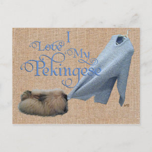 Pekingeser Dragkamp Vykort