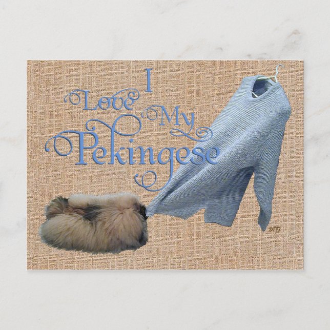 Pekingeser Dragkamp Vykort (Framsida)