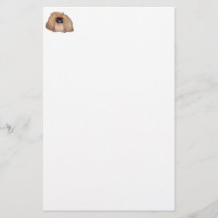 Pekingeser Drottning