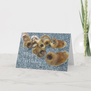 Pekingeser födelsedagsgratulationskort kort