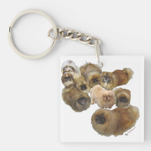 Pekingeser Grupp (Framsidan)