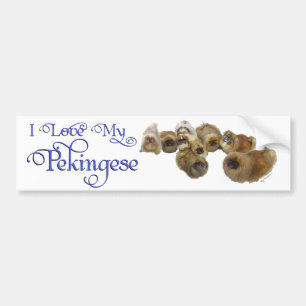 Pekingeser grupp bildekal