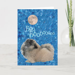 Pekingeser Halloween Kort