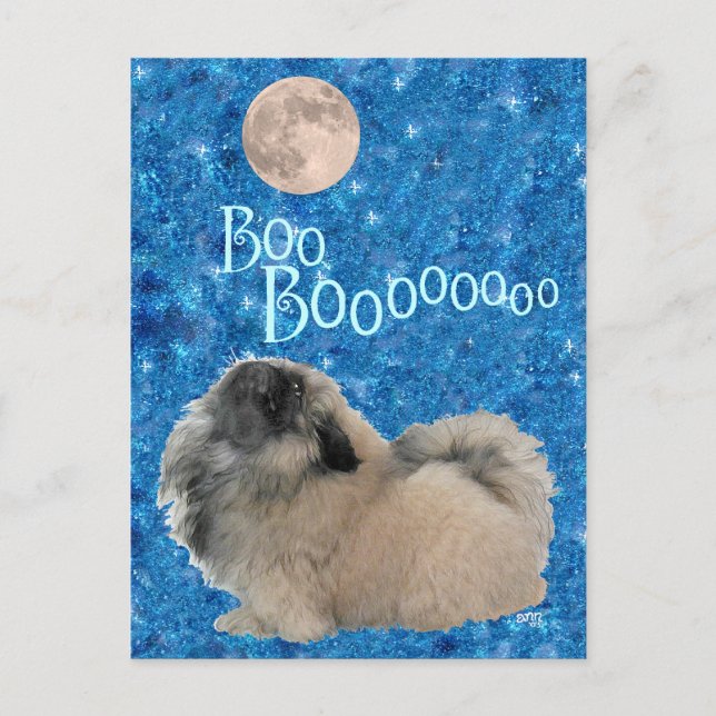 Pekingeser Halloween Vykort (Framsida)