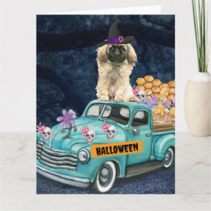 Pekingeser Hund Halloween Lastbil Skräcknatt Kort