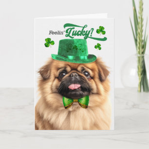 Pekingeser Hund Känner Lycka St Patrick's Day Helgkort