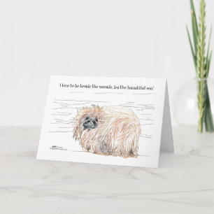 Pekingeser Hund Noteringar Helgkort